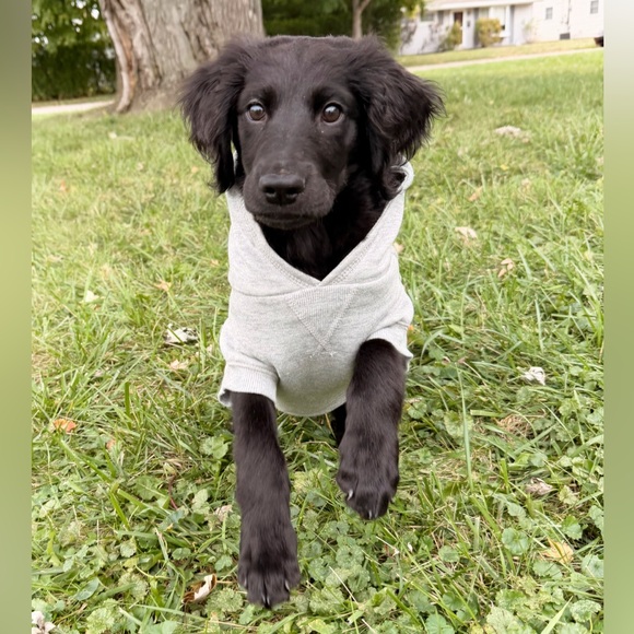 ✨Meet me✨ - Picture 2 of 5